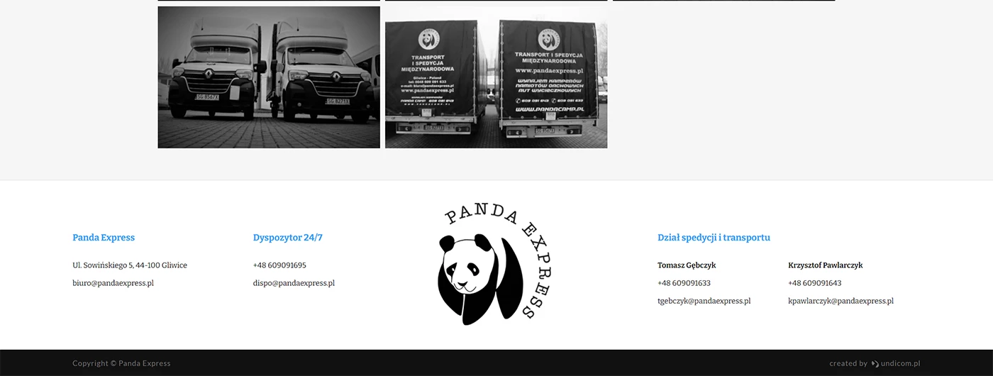 Panda Express - Motoryzacja i transport - Strony www - 7 projekt