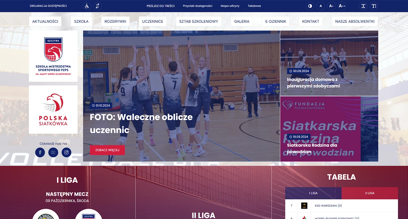 Szkoła Mistrzostwa Sportowego -  - Portale - 1 projekt