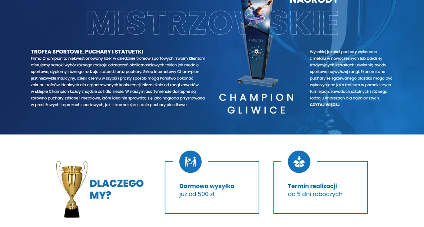 Champion - Technologie, badania, usługi - Sklepy www - 5 projekt Champion - Technologie, badania, usługi - Sklepy www - 5 projekt