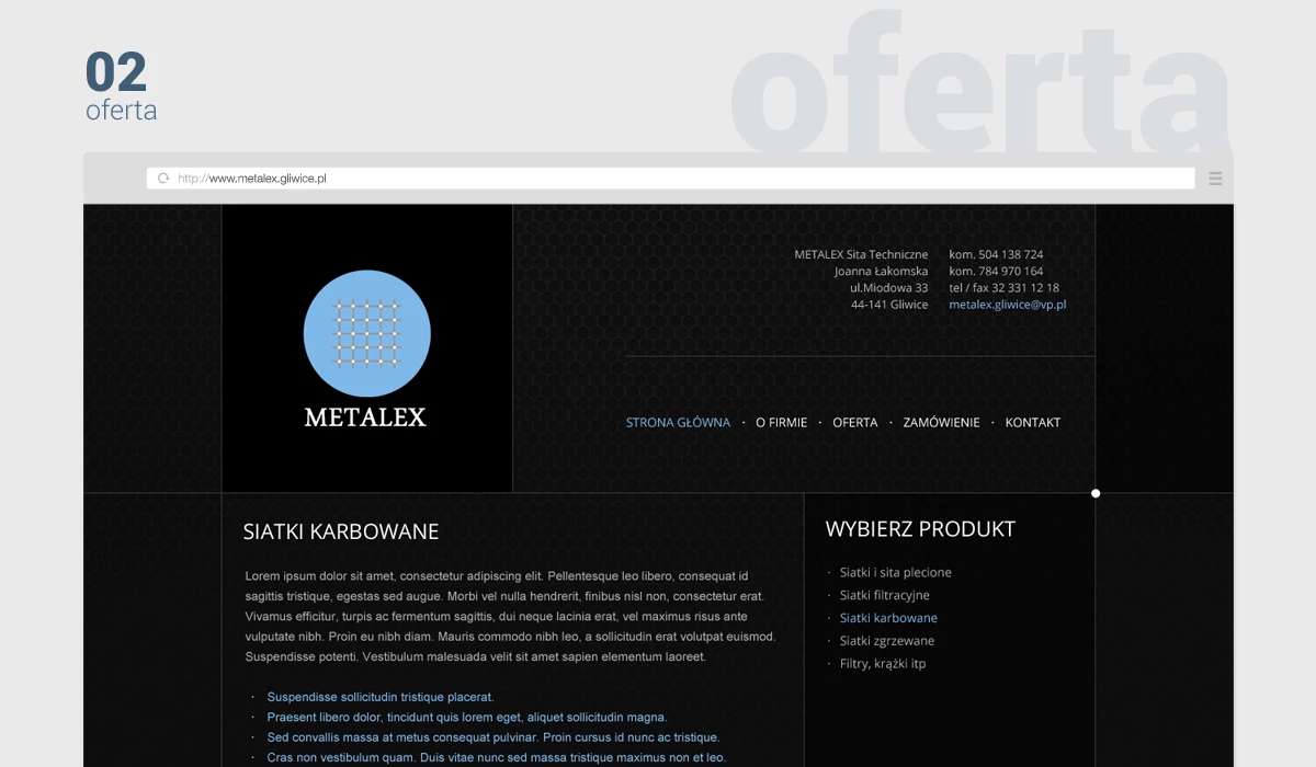 Metalex - Technologie, badania, usługi - Strony www - 4 projekt