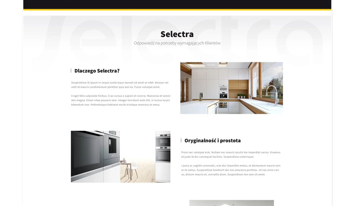 Selectra - Technologie, badania, usługi - Strony www - 9 projekt