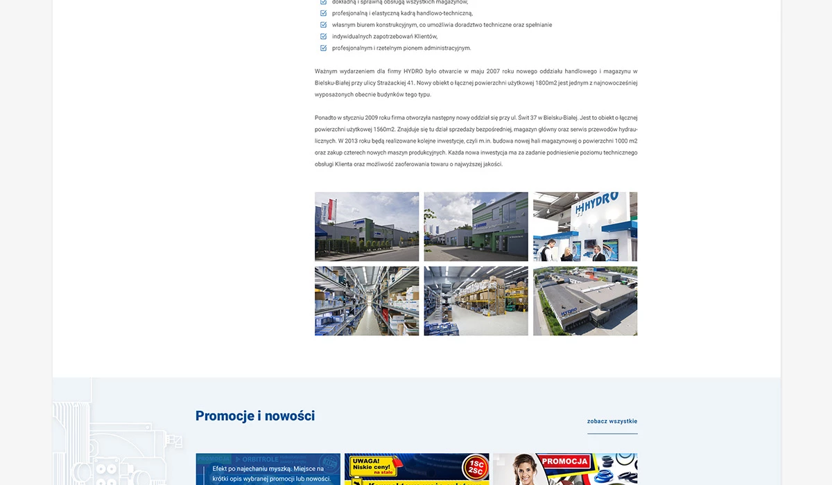 Strona dla dystrybutora hydrauliki siłowej z Bielska-Białej - 15 projekt