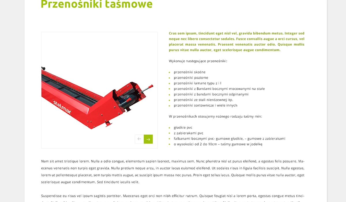Strona dla producenta maszyn dla przemysłu i recyklingu z Charsznicy - 10 projekt