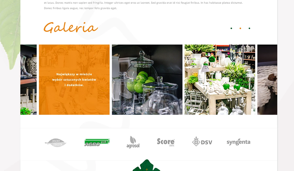 Strona www dla sklepu ogrodniczego - 15 projekt