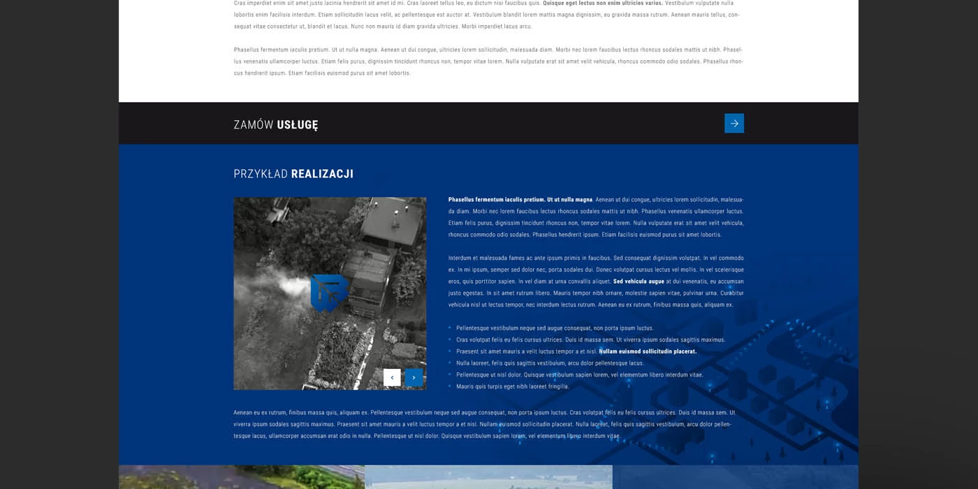Serwis internetowy dla Polskiego Centrum Dronów - 13 projekt
