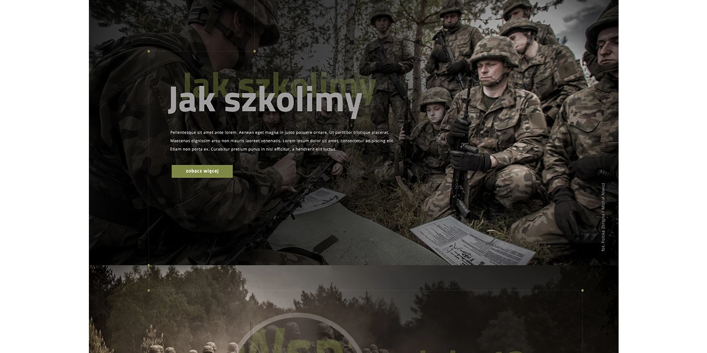 Wojska Obrony Terytorialnej - Instytucje publiczne, serwisy tematyczne - Strony www - 5 projekt