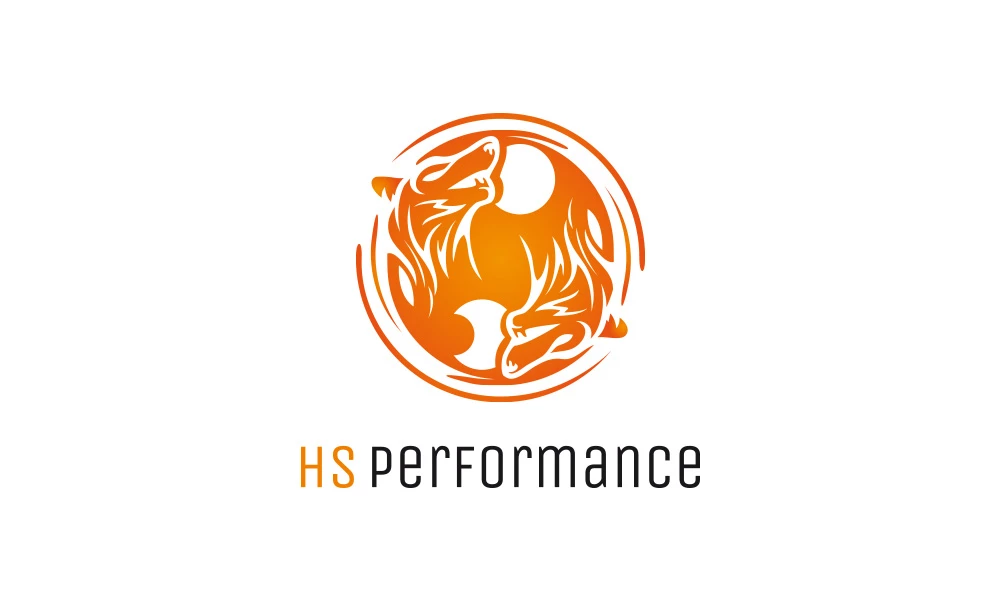 HS Performance -  - Logotypy - 1 projekt