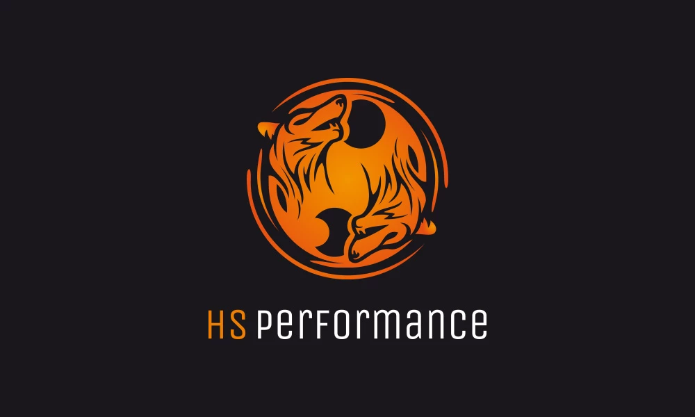 HS Performance -  - Logotypy - 2 projekt