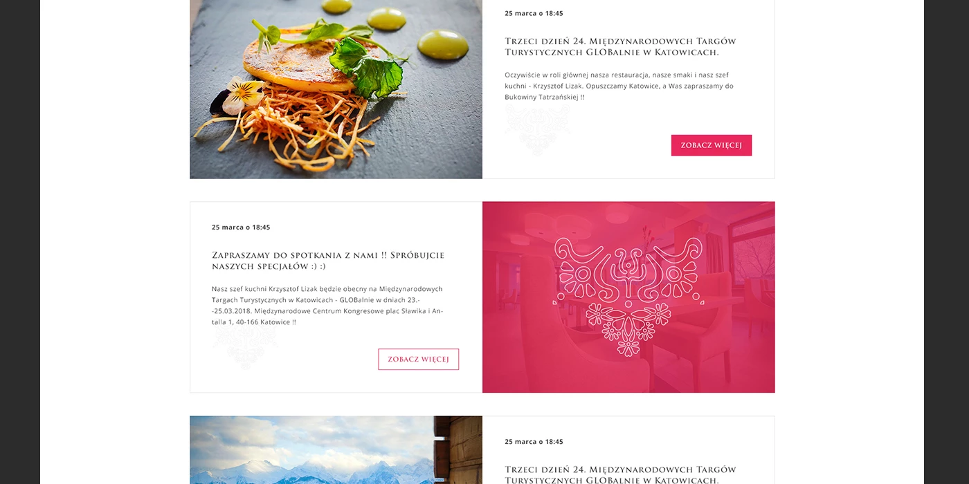 Strona internetowa dla restauracji w Tatrach - 8 projekt