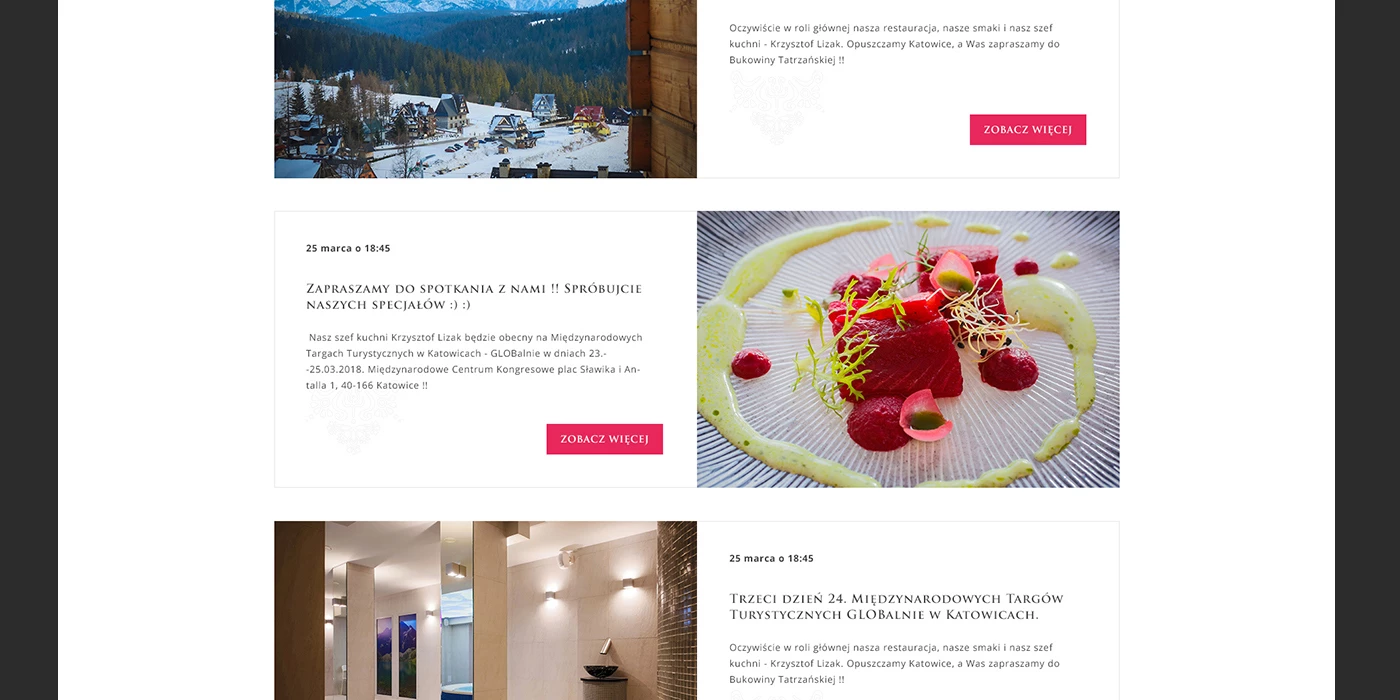 Strona internetowa dla restauracji w Tatrach - 9 projekt