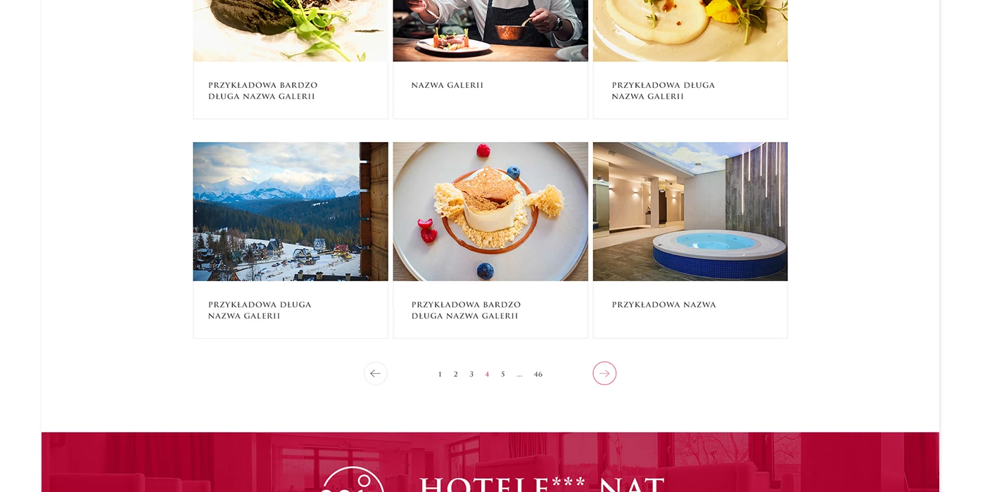 Strona internetowa dla restauracji w Tatrach - 20 projekt