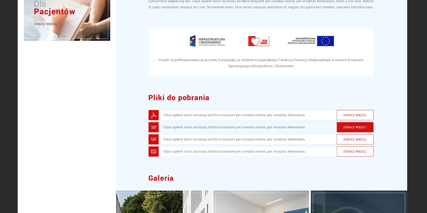 Strona internetowa dla akademickiego 
szpitala w Zabrzu - 10 projekt