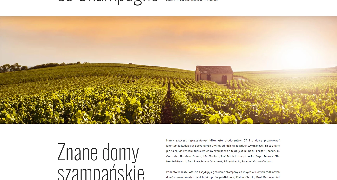 House of Champagne - Gastronomia - Strony www - 9 projekt