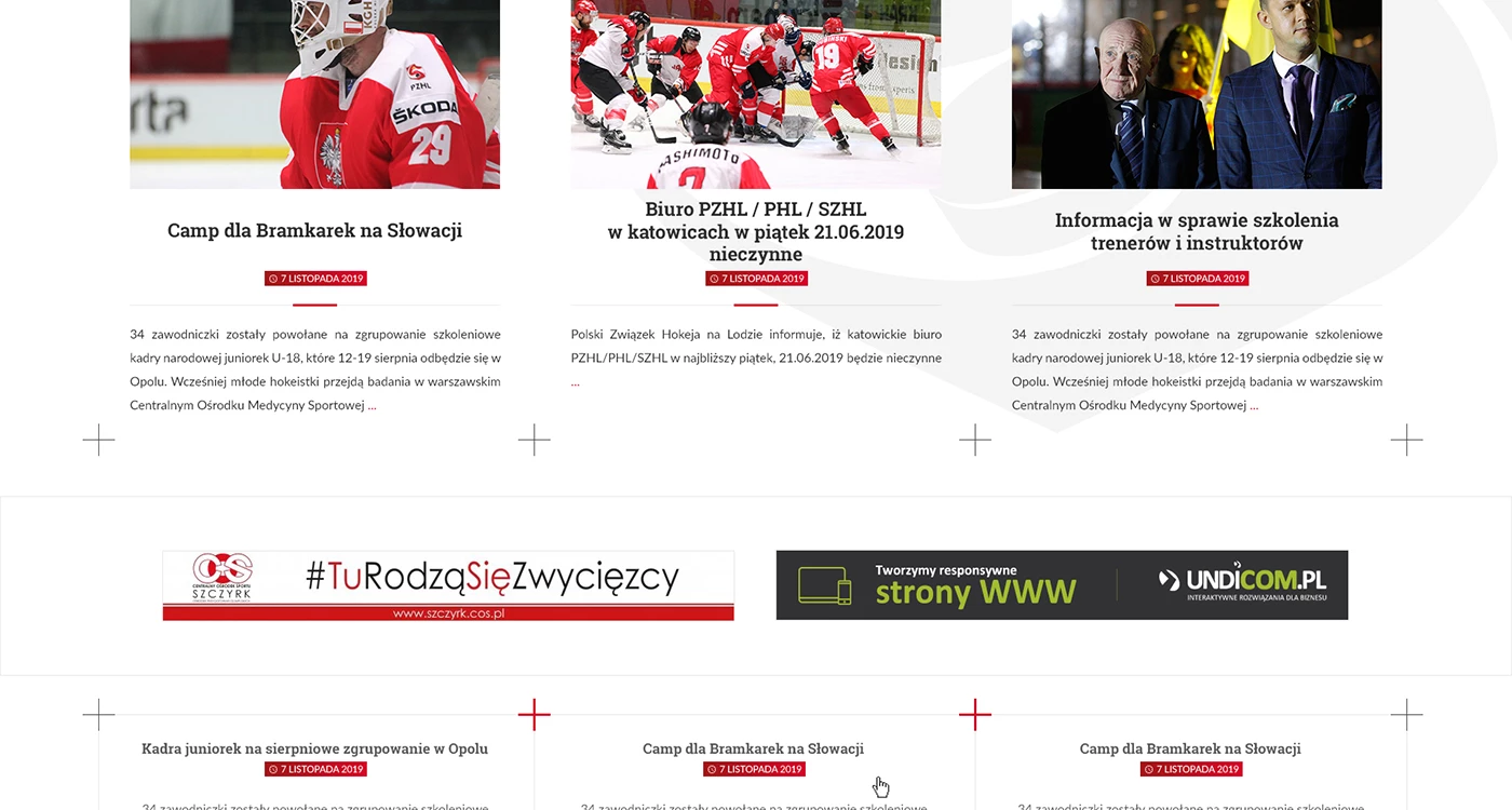 Polski Związek Hokeja na Lodzie - Sport - Portale - 3 projekt