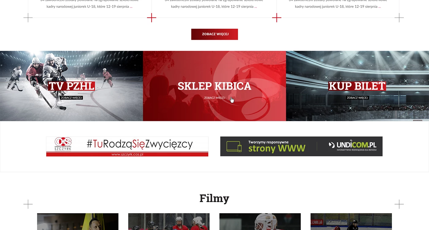 Polski Związek Hokeja na Lodzie - Sport - Portale - 4 projekt