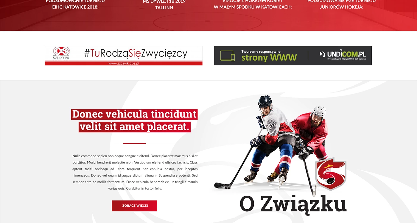 Polski Związek Hokeja na Lodzie - Sport - Portale - 6 projekt